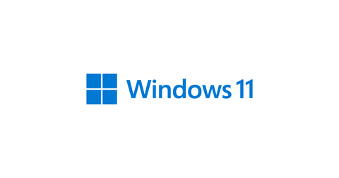 Microsoft Windows 11 Pro 64-bita